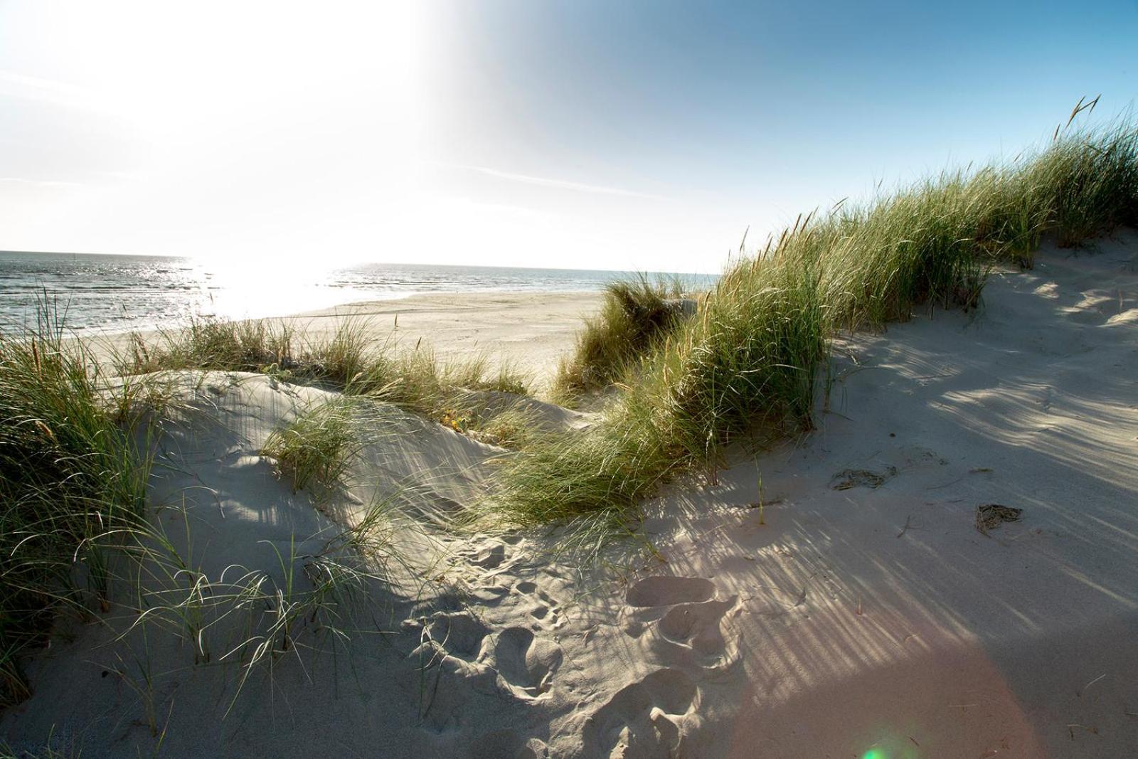 Barmouth Bay Holiday Park Llanddwywe Ngoại thất bức ảnh
